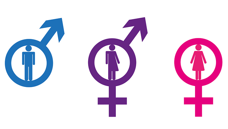 Gender Neutral User Icon at Vectorified.com | Collection of Gender ...