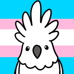 250x250 Genderfluid Icon Tumblr