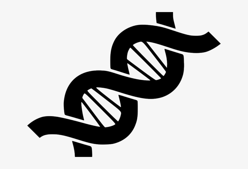 820x560 Dna Structure Clipart Transparent