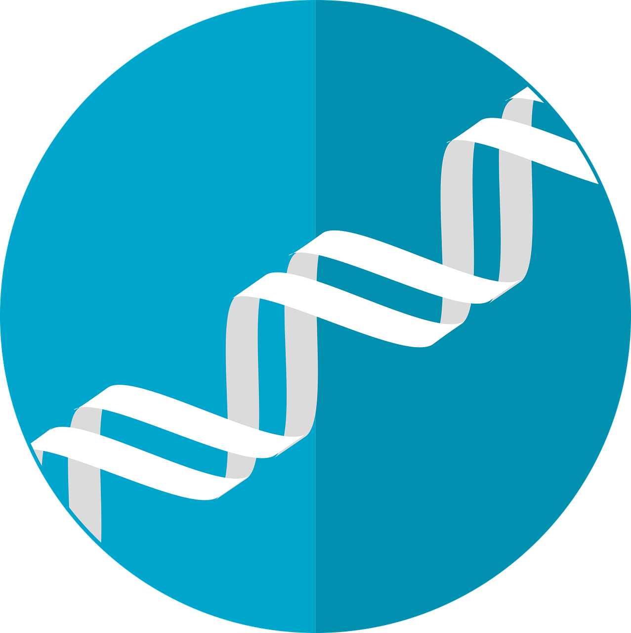 1277x1280 Dna Icon, Gene, Helix, Double Helix, Genetic