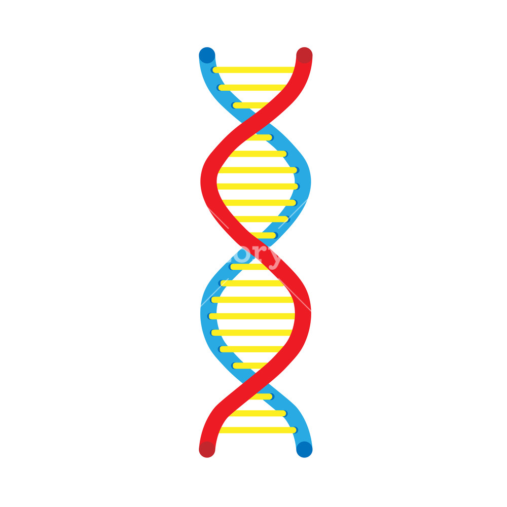 1000x1000 Dna Science Vector Icon Medical Molecule Technology Chemical
