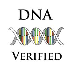 236x236 Best Genealogy Icons Images In Genealogy, Ancestry, My