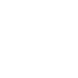 256x256 White Genie Icon