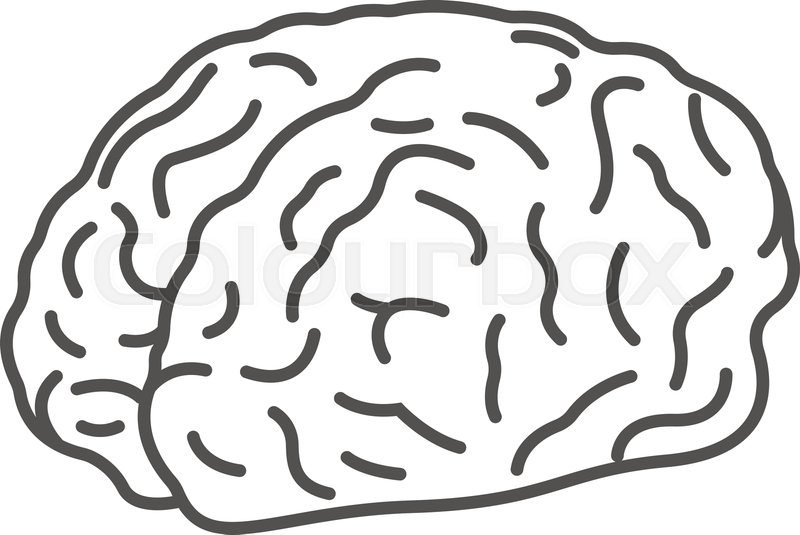 Genius Bran Outline Genius Stock Vector Colourbox 800x535 Genius Bran Outline Genius Stock Vector Colourbox