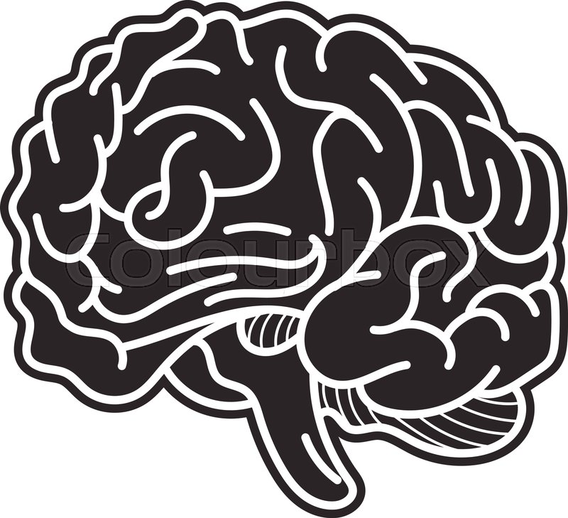 Genius Bran Simple Illustration Stock Vector Colourbox 800x729 Genius Bran Simple Illustration Stock Vector Colourbox