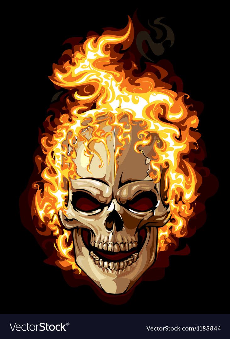 732x1080 Wallpaper In Skull, Skull Icon, Skull Logo