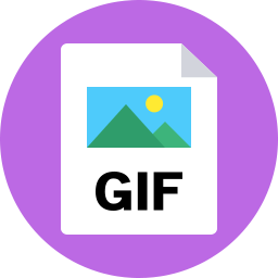 256x256 Gif Icon Flat