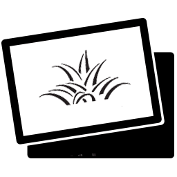 256x256 Gift Card Icon Queen Ka'ahumanu Center