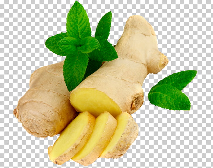 728x575 Ginger Icon Ginger Brown Ginger And Green Mint Leaves Png