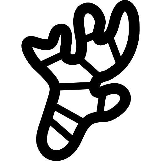 512x512 Ginger Icons Free Download