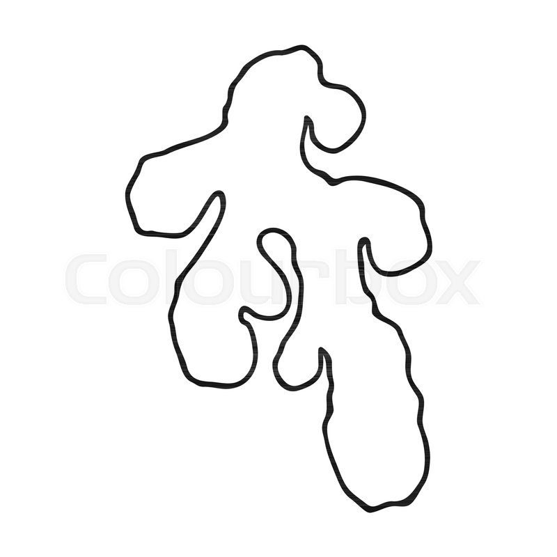 800x800 Ginger Icon In Outline Style Isolated Stock Vector Colourbox