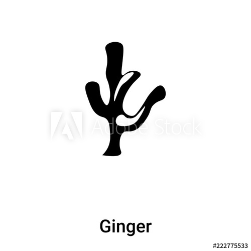 500x500 Ginger Icon Vector Isolated On White Background, Logo Concept