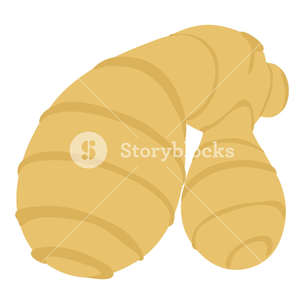 1000x1000 Ginger Icon Cartoon Illustration Of Ginger Vector Icon For Web