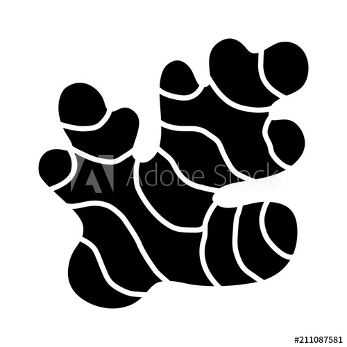 500x500 Ginger Root Rhizome Seasoning Herb Flat Vector Icon For Food Apps