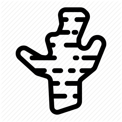 512x512 Dry Ginger, Ginger, Ginger Root, Plant, Root, Spice, Tea Icon