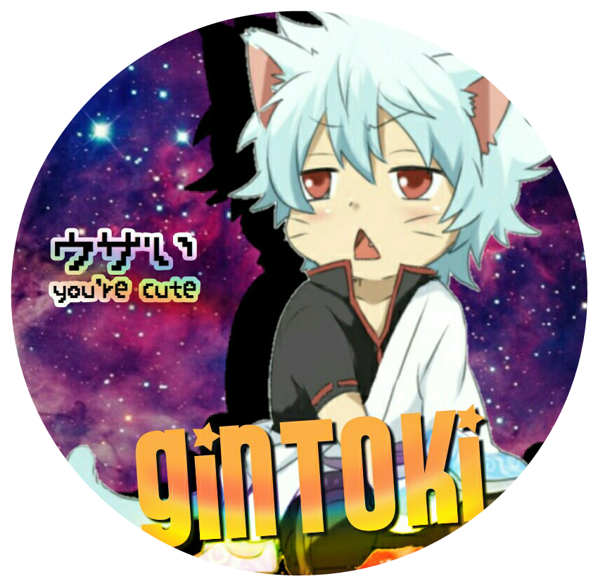 850x834 Anime Gintama Gintoki Cat Icon
