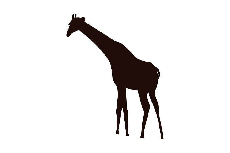 750x500 Giraffe Icon