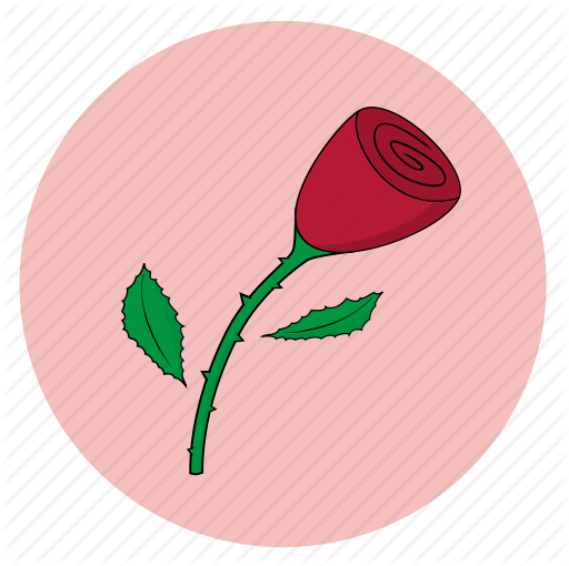 512x510 Fleur, Flower, Girly, Pink, Rose Icon