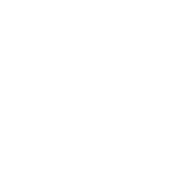 256x256 White Glasses Icon