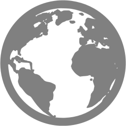 256x256 Gray Globe Icon