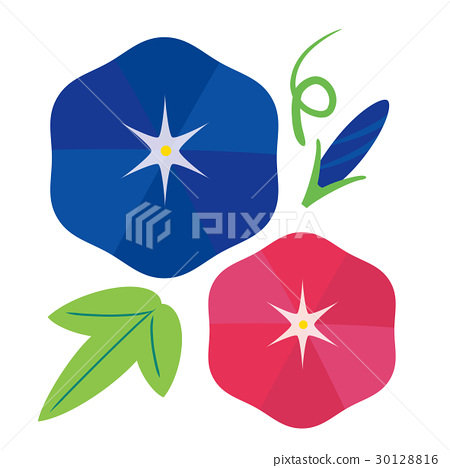 450x468 Morning Glory Icon