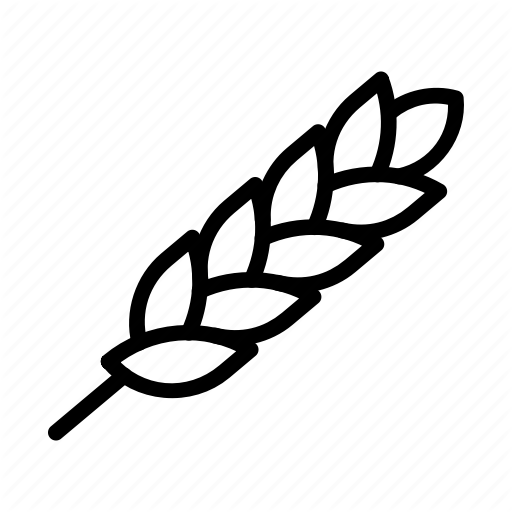 512x512 Celiac, Gluten, Gluten Free, Wheat Icon