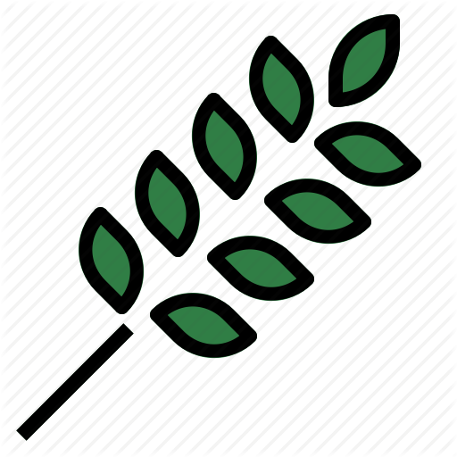 Allergy, Gluten Icon 512x512 Allergy, Gluten Icon