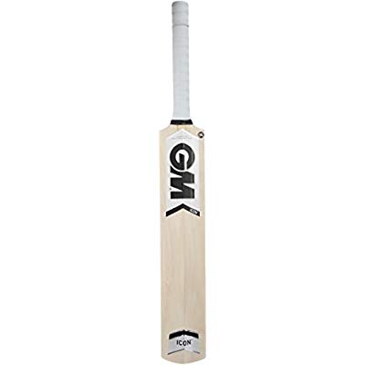 400x400 Gm Icon Select Kashmir Willow Cricket Bat