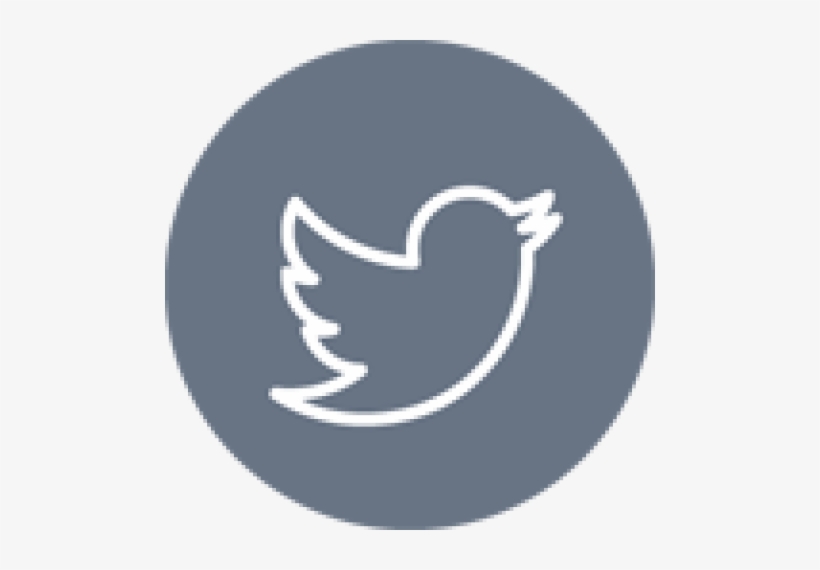 820x570 Twitter Icon Transparent Background
