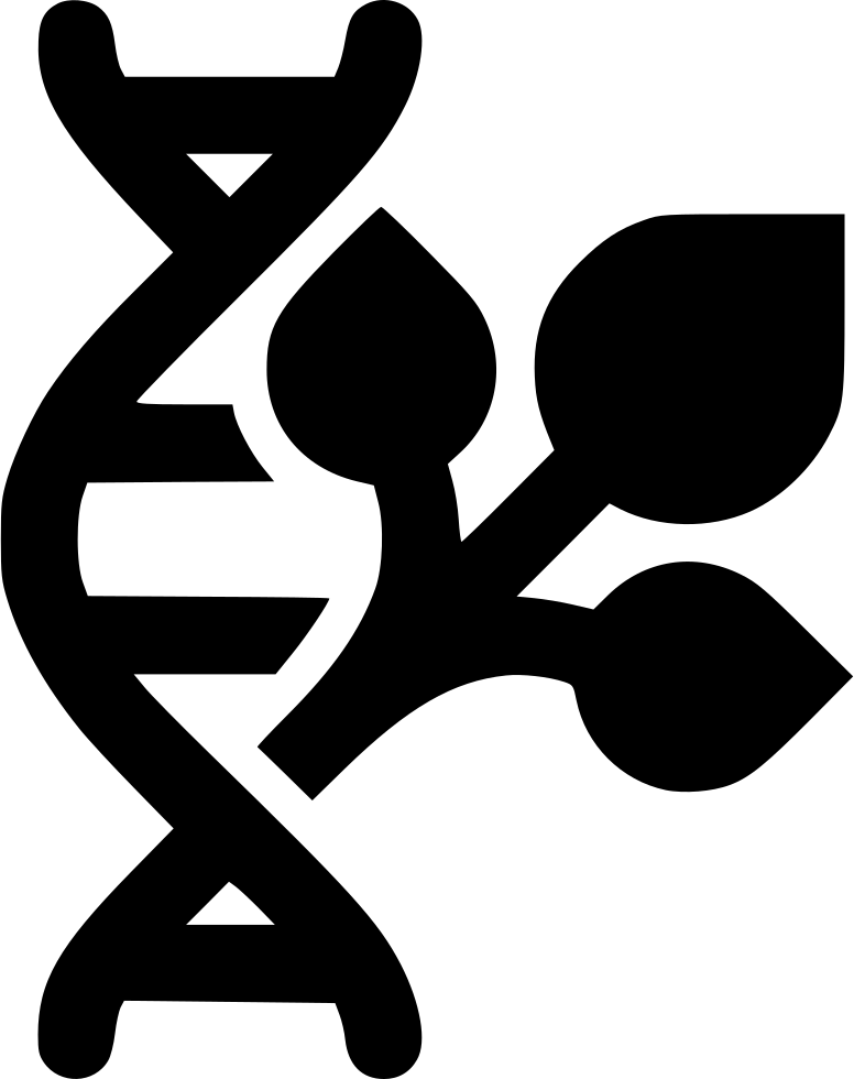 776x980 Plant Dna Gmo Png Icon Free Download