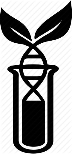 241x512 Food, Gmo, Grade Icon