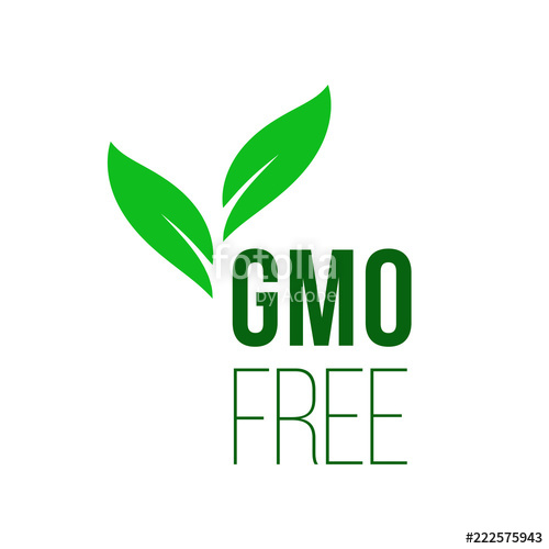 500x500 Gmo Free Green Leaf Healthy Food Vector Label Icon Stock Image