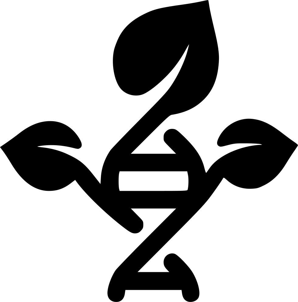 980x994 Gmo Plant Png Icon Free Download