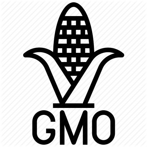 512x512 Corn, Food, Genetically, Genetics, Gmo, Modified, Organism Icon