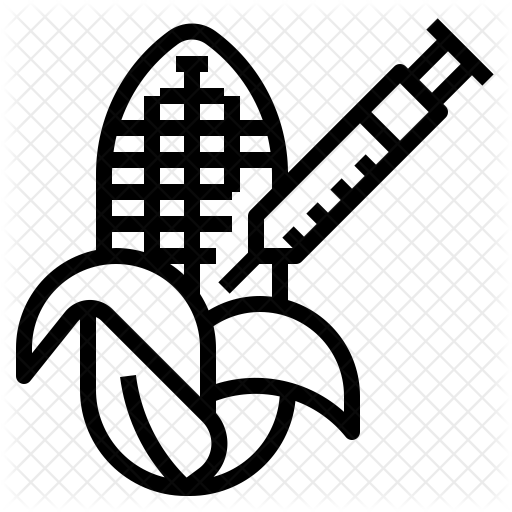 512x512 Corn Gmo Icon Of Line Style