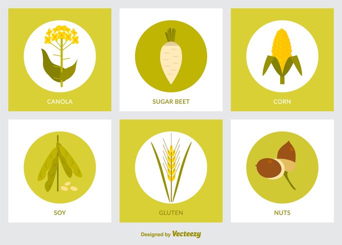 684x490 Flat Gmo Product Icon Vector Set