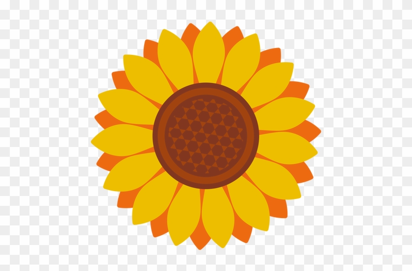 840x553 Isolated Sunflower Head Icon Transparent Png