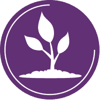 200x200 Purity And Quality