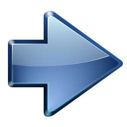 256x256 Actions Go Next Icon Oxygen Iconset Oxygen Team