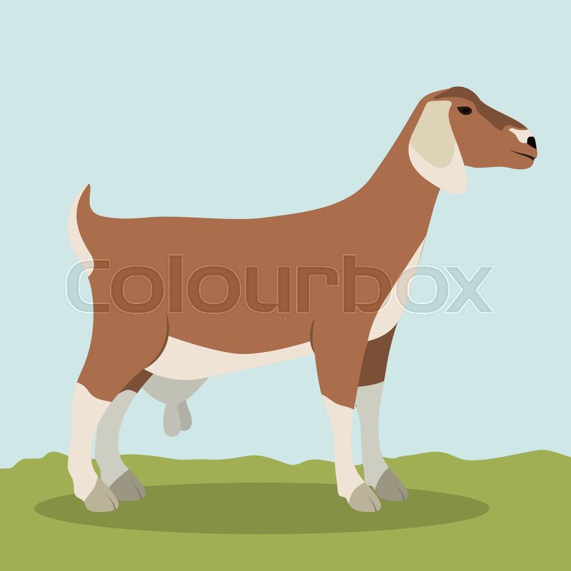 800x800 Goat Icon Animal Life Nature And Stock Vector Colourbox