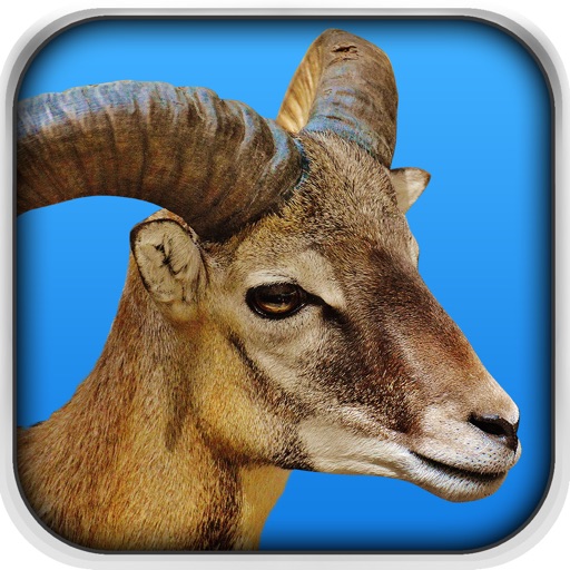 512x512 Goat Fight Simulator