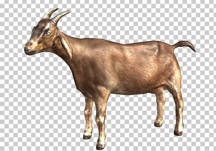728x509 Goat Simulator Png, Clipart, Animals, Cattle Like Mammal