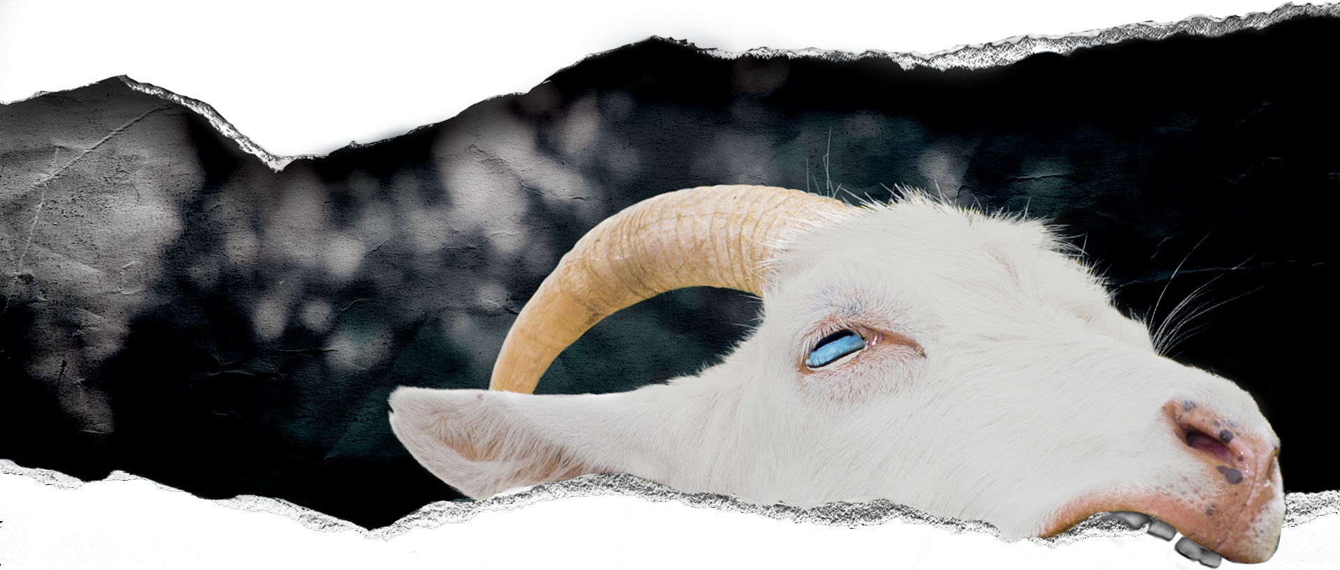 1920x817 Payday Goat Simulator Heist