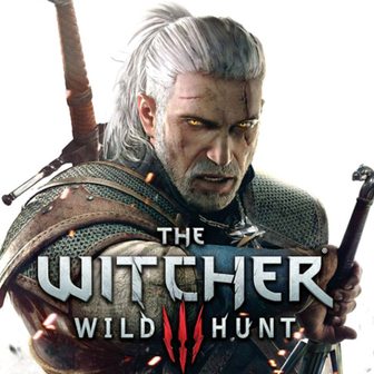 336x336 The Witcher Wild Hunt Version Registry