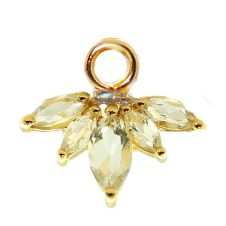 782x782 Unity Crown Icon