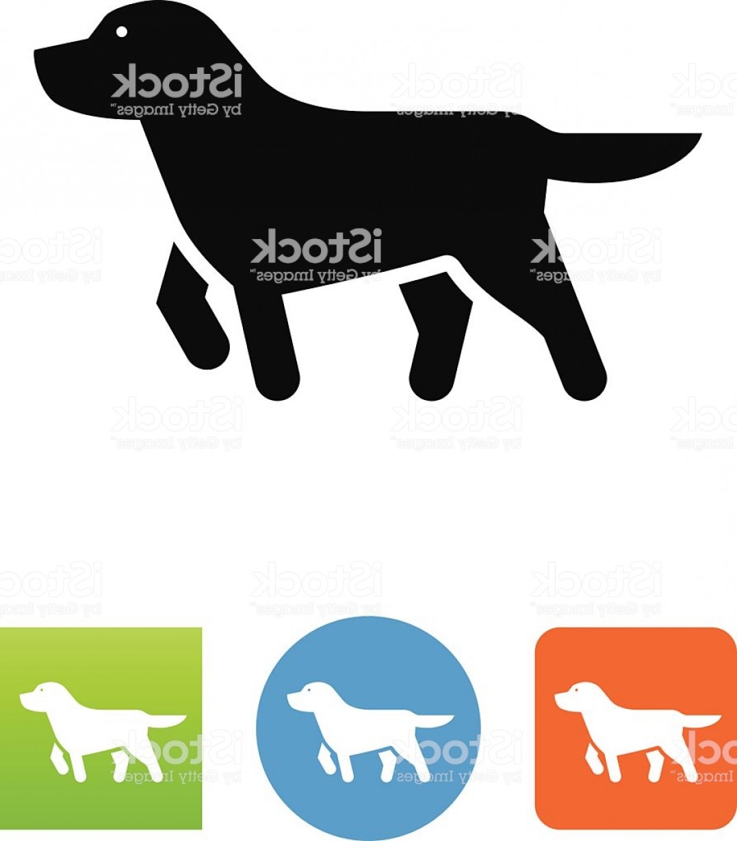 1077x1228 Golden Retriever Pointing Icon Gm Soidergi