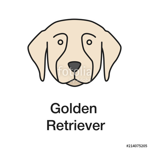500x500 Golden Retriever Color Icon Stock Image And Royalty Free Vector