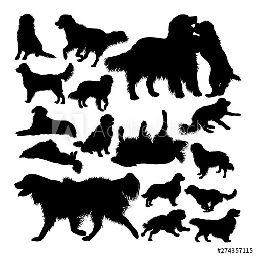 500x500 Golden Retriever Dog Animal Silhouettes Good Use For Symbol, Logo