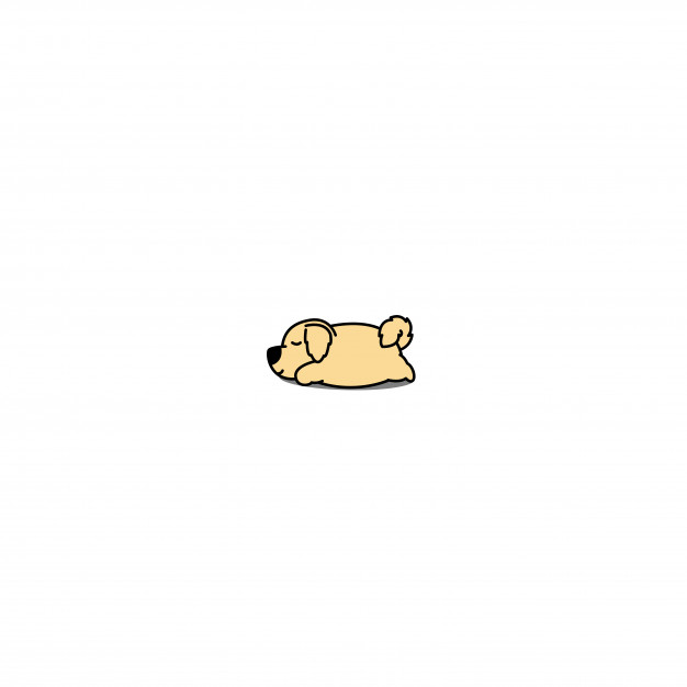 626x626 Lazy Golden Retriever Dog Sleeping Icon Vector Premium Download