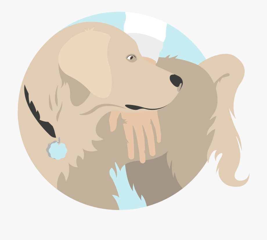 920x828 Owner Icon Png